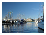 Ships - Fishermans Wharf