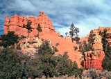 Red Canyon5.jpg
