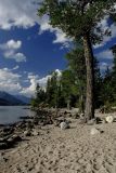 Jenny Lake