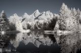 Teton Reflections