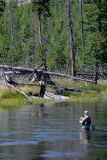 Madison River