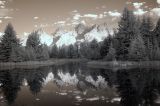 Teton Reflections