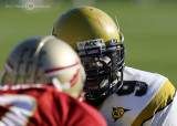 Yellow Jackets QB Nesbitt stares down a Seminoles defender while calling out signals