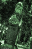 Old Cemetary #1