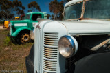 Close up of Late 40 - Early 50s Austin Truck