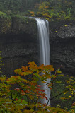 Silver Falls, Oregon