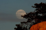 IMG_5454 tp_a.jpg