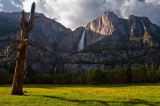 3887-Late-Afternoon.jpg