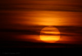 Sun Ball - IMG_1458.JPG