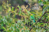 DSC_8661.jpg