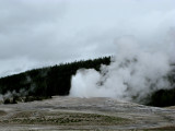 Old Faithful 1 Yellowstone Park