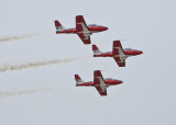 Canadian Snow Birds