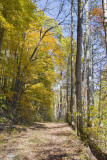 Above Millertown Road, Shenandoah Co., VA