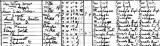 1910 MI Census (B)