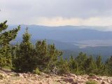 Mount Phillips 41.jpg