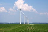 A row of windmills - near Lelystad, the Netherlands