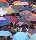 A sea of umbrellas