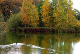 DSC00434.jpg