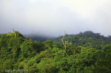 Monteverde, Costa Rica