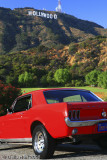 The Hollywood Sign and Red Mustang