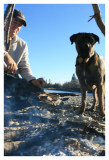 Fish Roast