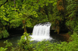 Upper Butte Creek Falls, Oregon