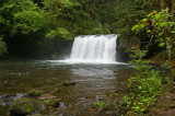 Upper Butte Creek falls, Oregon