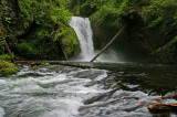  Lower Butte Creek Falls, Oregon