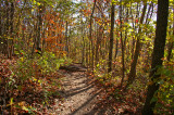 East Pinnacle trail