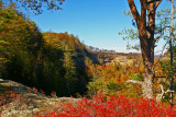 Red River gorge vue from Henson point, towards Pinchem tight Gap