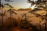 Red River Gorge sunrise.