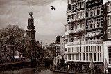 A Bird Over Amsterdam