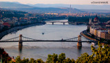 Donau Bridges