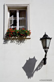 A Window And A Lamp