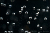 Backlit bubbles in a glass.