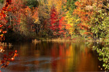 A pond in Sebago, Maine