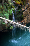 Canyon Maligne