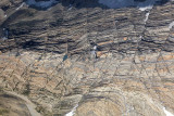 Agassiz Glacier Forefield Detail <br> (GlacierNP090109-_543.jpg)