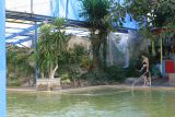Funky pool next to BBQ place where I had snack, Idaho Springs