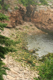 I was bound and determined to find Boulder Beach in Acadia. I did, but it was not as special as I had thought...