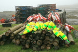 More buoys, and some traps.
