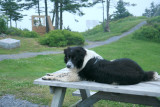 In the parking lot was a man and his dog, watching out for people who made the trek.