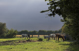 Priory rd3 14-7-8.jpg