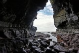 Flamborough 19-10-09_009.jpg