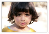 Shy - Palestine