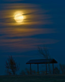 Full moon