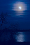 Blue moon