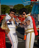 Elvis everywhere