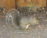 IMG_0617a.jpg