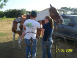 Feeding Deer and Lauras Wedding 007.jpg